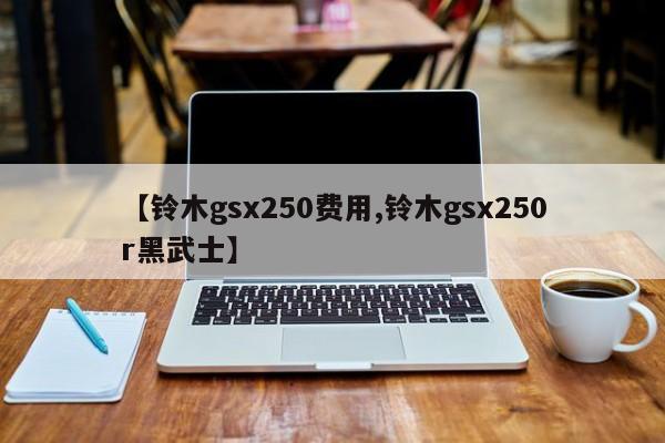 【铃木gsx250费用,铃木gsx250r黑武士】