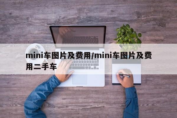 mini车图片及费用/mini车图片及费用二手车