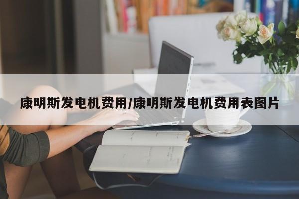 康明斯发电机费用/康明斯发电机费用表图片