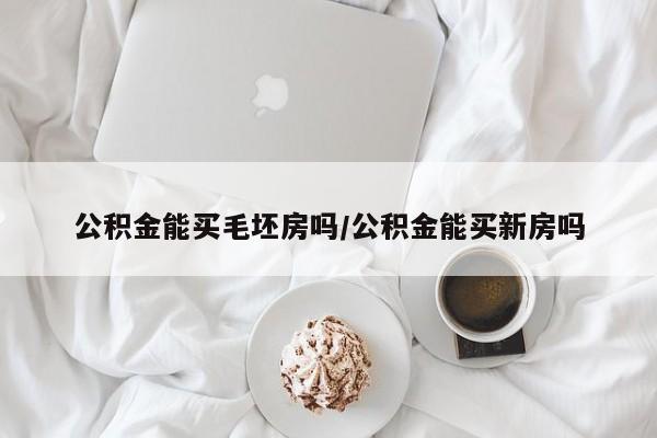 公积金能买毛坯房吗/公积金能买新房吗