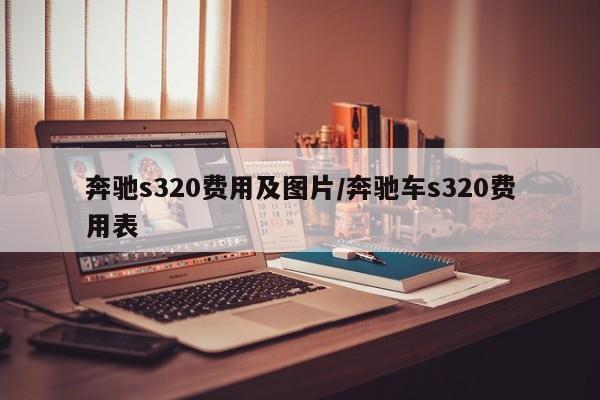 奔驰s320费用及图片/奔驰车s320费用表