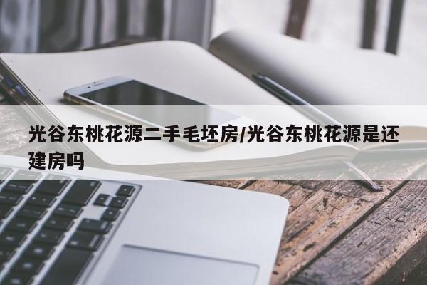光谷东桃花源二手毛坯房/光谷东桃花源是还建房吗