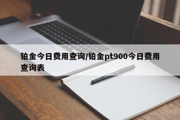 铂金今日费用查询/铂金pt900今日费用查询表